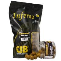 Boilies Carp Inferno Rozpustn Nutra Line Bann/Olihe