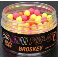 mini pop up broskev